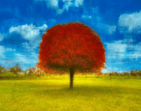 Autumn Mood